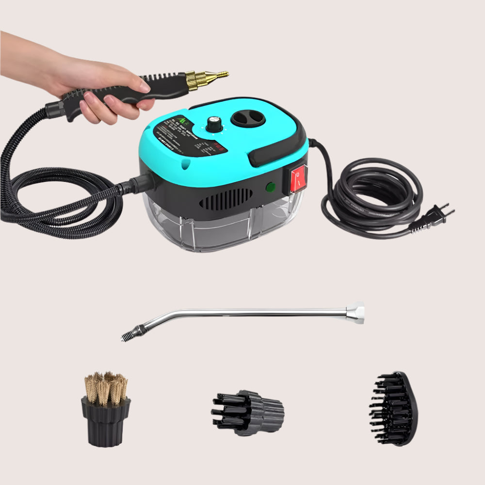 High Temp Steam Cleaner - 110V/220V for Kitchen & Car